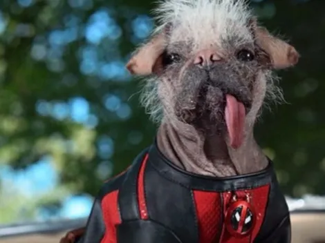 ¿Quién es Dogpool, el nuevo personaje de Deadpool 3?
