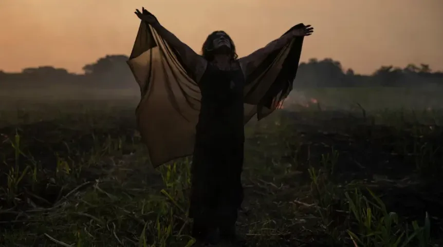 Imagen: https://www.procine.cdmx.gob.mx/.