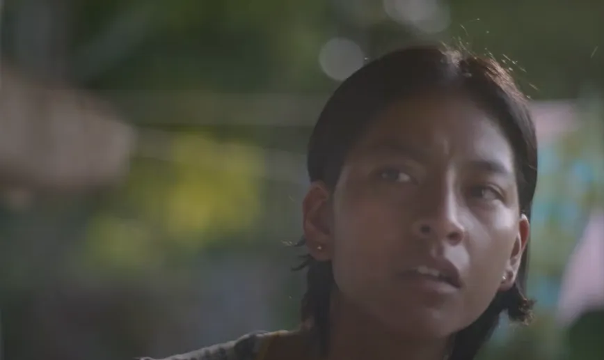 Imagen: https://www.procine.cdmx.gob.mx/.