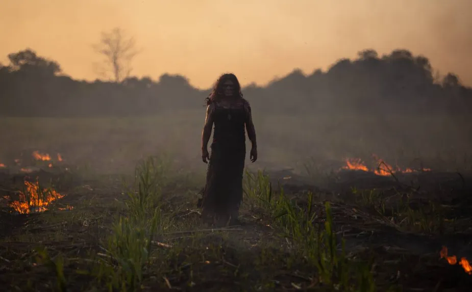 Imagen: https://www.procine.cdmx.gob.mx/.