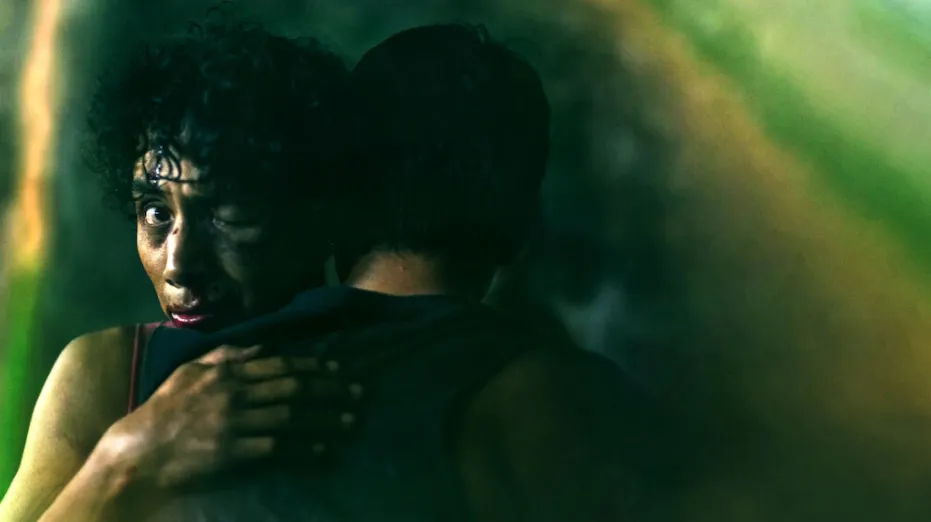 Imagen: https://www.procine.cdmx.gob.mx/.