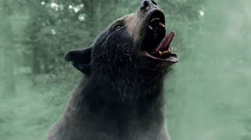 Un oso adicto a la cocaína debuta con su hilarante película en HBO Max.