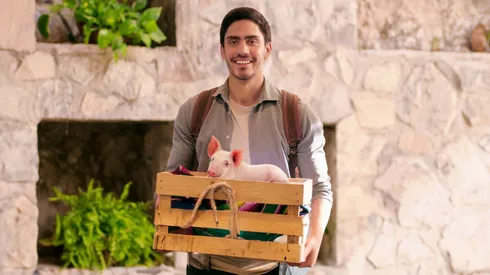 Series de Iván Amozurrutia en la plataforma.