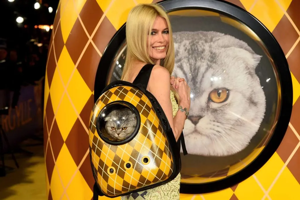 Chip y Claudia Schiffer en la alfombra roja de Argylle.