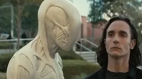 Te decimos dónde ver el contenido viral en redes.