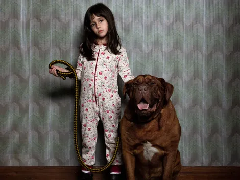 ¿Cuando acecha la maldad llegará a Netflix?