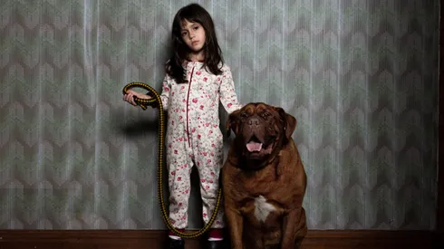 ¿Cuando acecha la maldad llegará a Netflix?