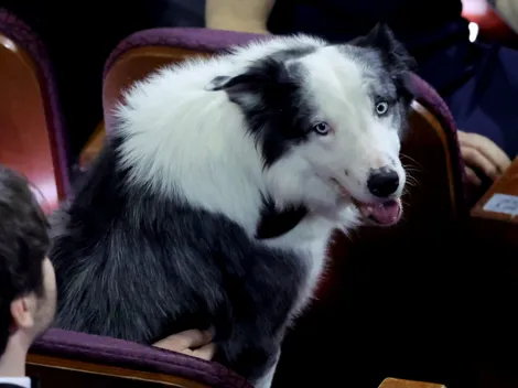¿Quién es el perro ‘Messi’ de los Premios Oscar 2024?