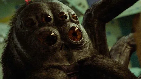 Hanus es la araña en 'El astronauta'