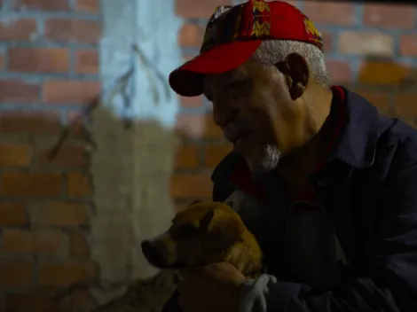 ¿El "Hachiko peruano"?: Así llaman a Vaguito, película cuya fecha de estreno se espera en México