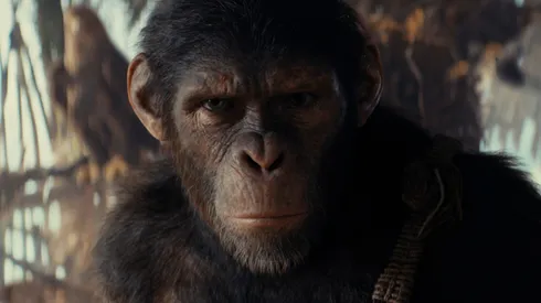 El Planeta de los Simios: Nuevo Reino es la décima película en la franquicia Planet of the Apes.