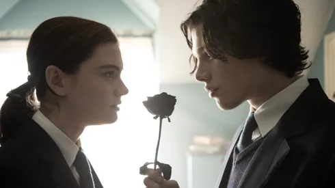 Cintas similares al éxito de la plataforma.