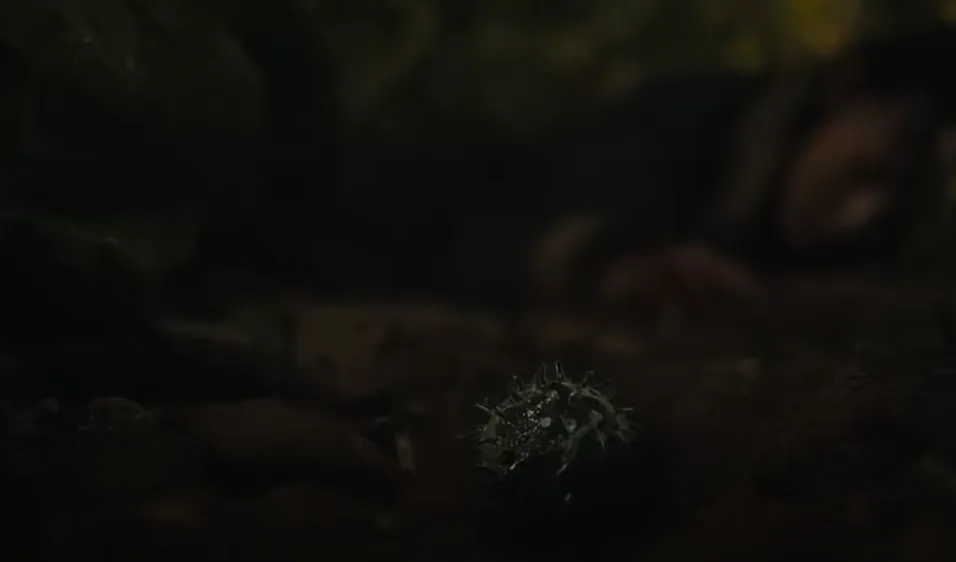 Imagen: @NetflixLATAM.