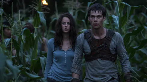 THE MAZE RUNNER Nighttime in the maze presents unexpected challenges to Teresa (Kaya Scodelario) and Thomas (Dylan O’Brien). TM and © 2014 Twentieth Century Fox Film Corporation. All Rights Reserved. Not for sale or duplication..