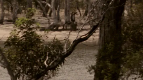 La película de terror tiene calificación casi perfecta de la crítica.