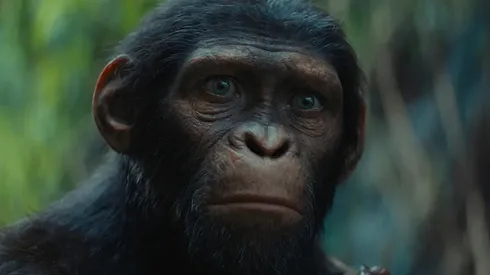 La saga de El Planeta de los Simios es un éxito internacional.