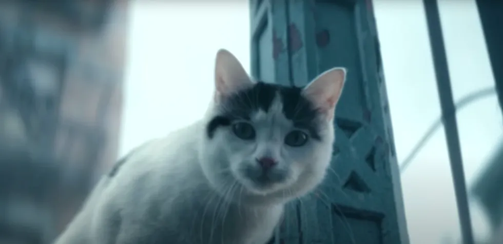 El gato Frodo se ha vuelto uno de los personajes más queridos de esta película. Imagen: Digital Spy.