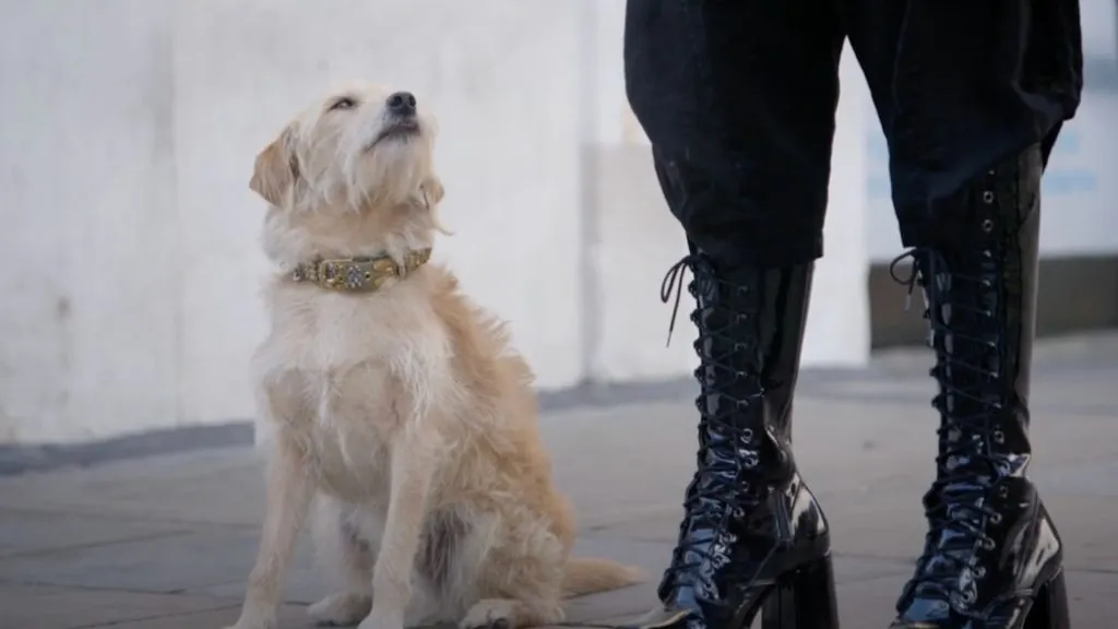 ‘Bobby’ en la película que lo lanzó a la fama (Youtube: Revista Cinerama)