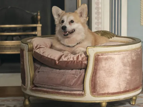 Netflix: La nueva serie más vista que superó a Sweet Tooth