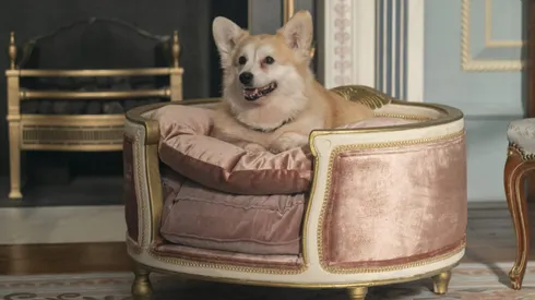 Netflix tiene una nueva serie #1 en todo el mundo.