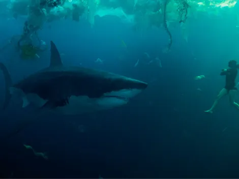 Netflix: La nueva película más vista de México