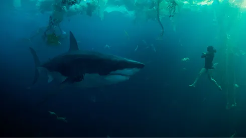 La nueva película #1 de Netflix en México.