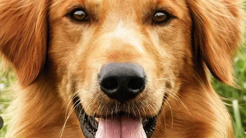 Reparto de ‘La Razón de Estar Contigo’