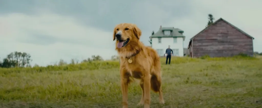 Imagen: @UniversalPictures.