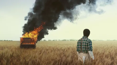 Todo sobre la película La lección de piano.