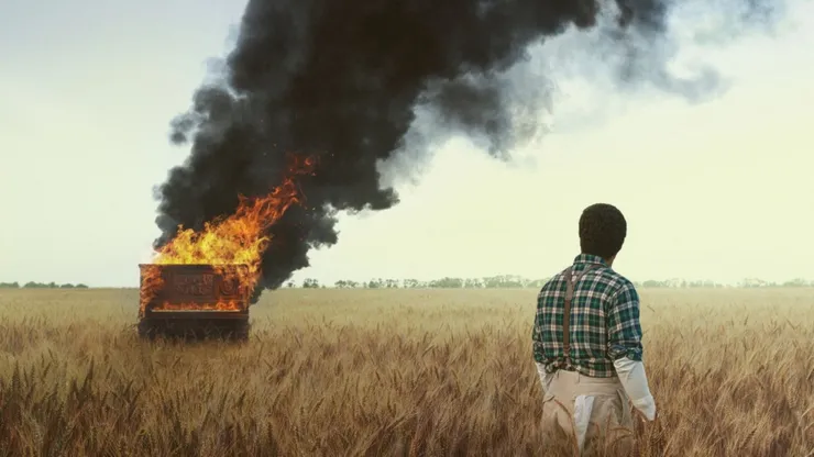 Todo sobre la película La lección de piano.