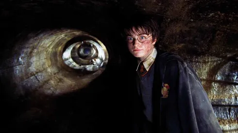 Daniel Radcliffe, el Harry Potter original.