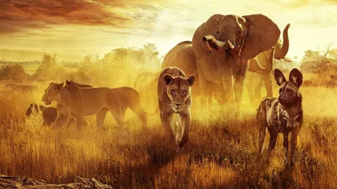 El paraíso que sobrevive: un legado familiar, el imperdible documental para ver en el Día de la Tierra.