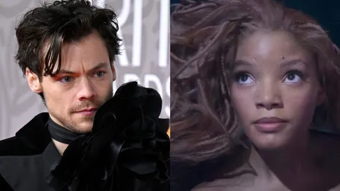 La Sirenita y Harry Styles