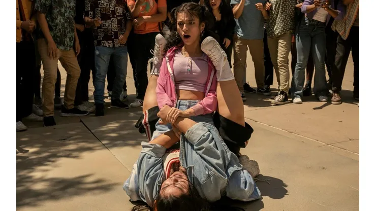 Netflix acaba de cancelar esta serie tras una temporada y no regresará.
