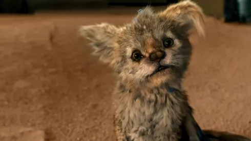 Chupa: reparto de la película mexicana furor en Netflix.