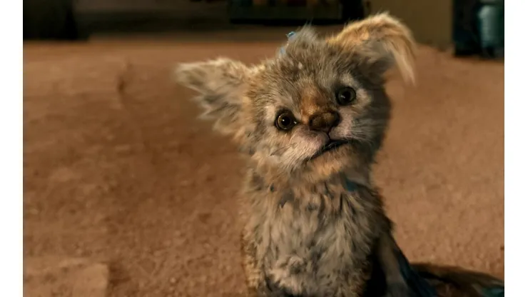 Chupa: reparto de la película mexicana furor en Netflix.