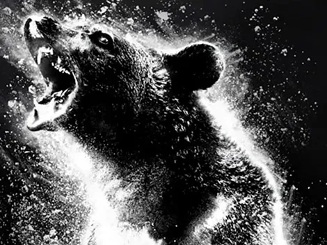 Oso Intoxicado: ¿es la fiesta de humor y sangre que nos prometieron?