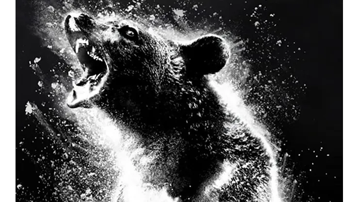 Oso intoxicado.
