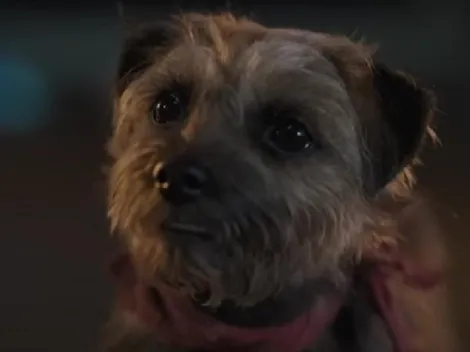 Hijos de Perra: todo sobre el elenco de la película