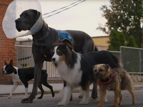 Cuándo se estrena la película Hijos de Perra en México y Latinoamérica