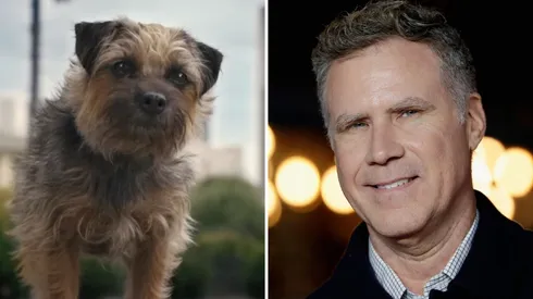 Strays, la próxima película de Will Ferrell.