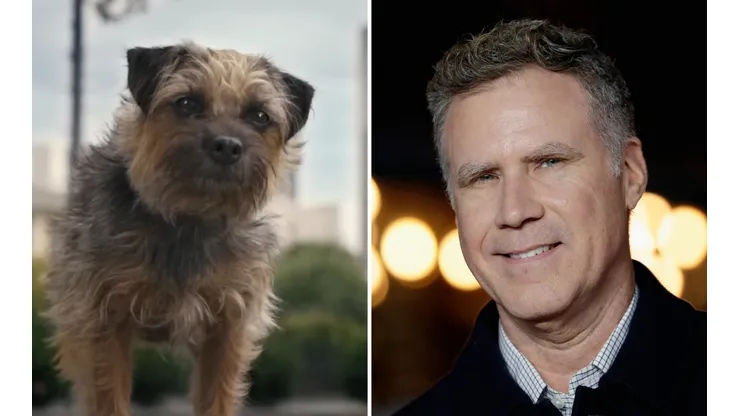 Strays, la próxima película de Will Ferrell.