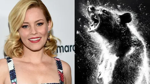 Elizabeth Banks y el oso polémico
