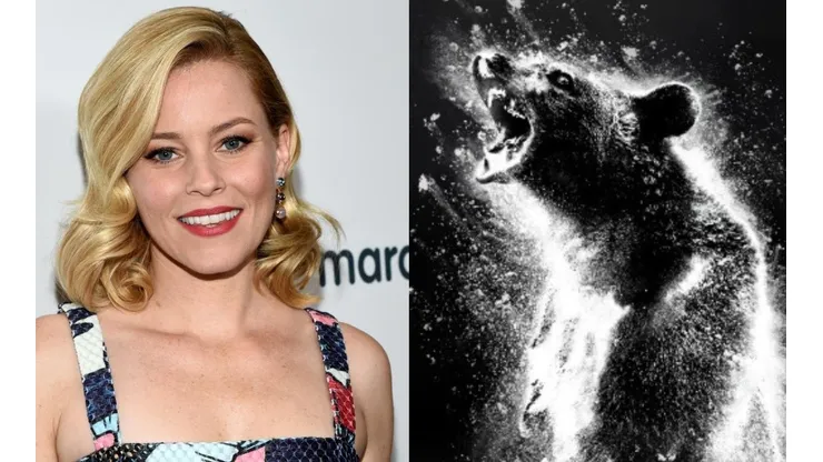 Elizabeth Banks y el oso polémico