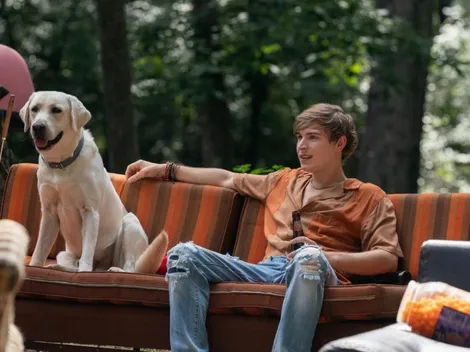 Perro Perdido: la historia real detrás de la película de Netflix