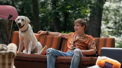 Perro Perdido es una historia real