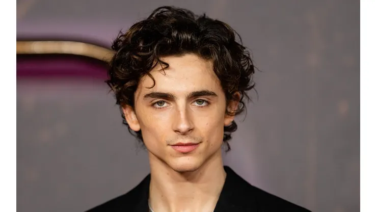 Timothée Chalamet.