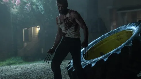 Wolverine
