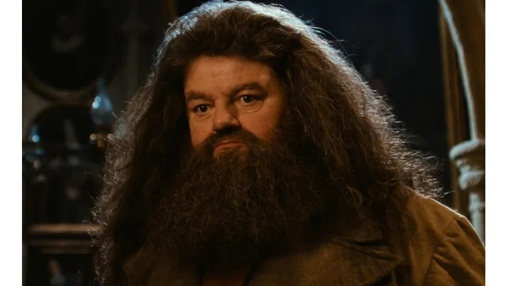 Robbie Coltrane como Rubeus Hagrid.