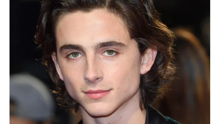 Timothée Chalamet.